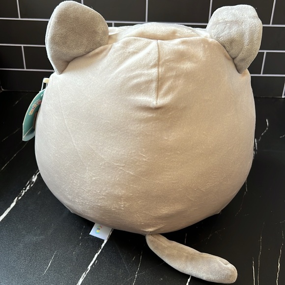 Felton the Siamese Cat - Picture 3 of 3